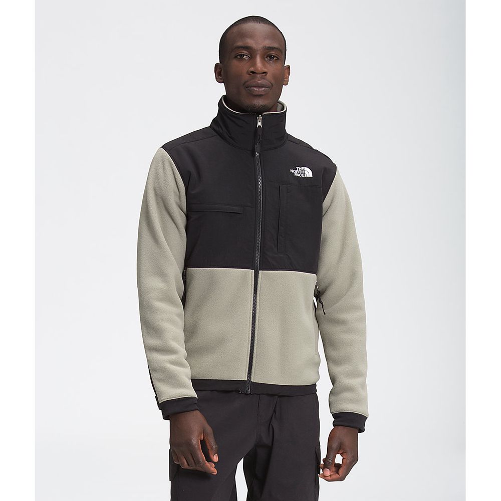 The North Face Fleece Jacket Mens Australia - The North Face Denali 2 Grey Snow (VZX-675892)